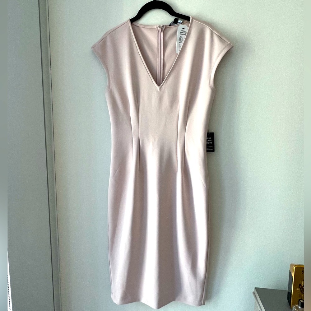 Express Light Pink Dress